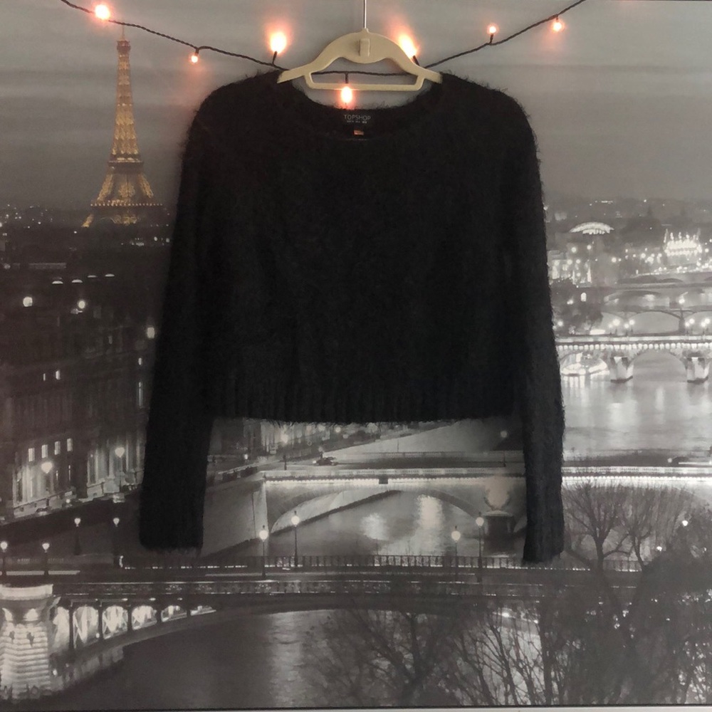 Fuzzy Crop Top Sweater